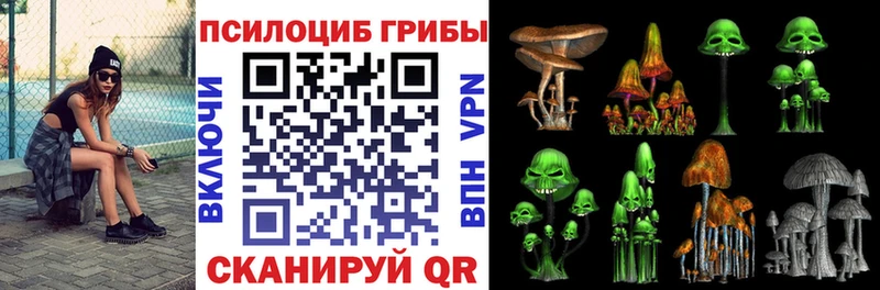 Галлюциногенные грибы Psilocybe  Приволжск 